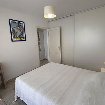 3 Pieces Climatise Avec Terrasses - Ajaccio - Fr-1-61-519 Apartment